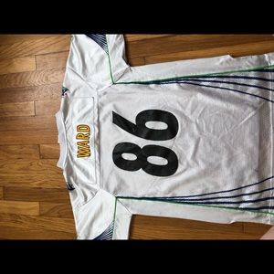 Steelers Heinz ward jersey